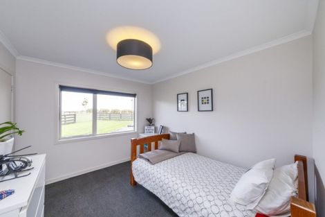 Photo of property in 132 Ngaio Road, Halcombe, Palmerston North, 4479