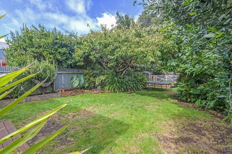 Photo of property in 52 Bourke Street, Palmerston North, 4410