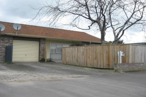 Photo of property in 246 Ferguson Street, Palmerston North, 4410