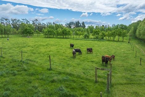 Photo of property in 420a Woodfields Road, Swannanoa, 7475