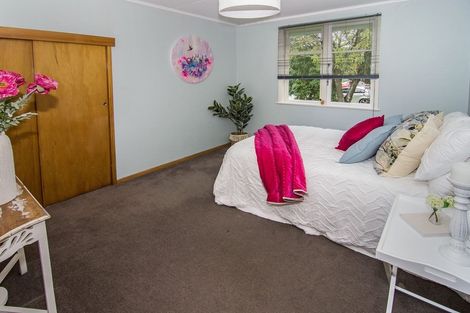 Photo of property in 12 Madden Place, Solway, Masterton, 5810