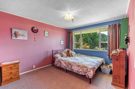 Photo of property in 231 Chesney Street, Tisbury, Invercargill, 9812