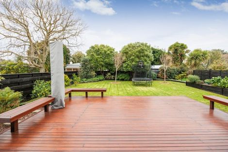 Photo of property in 50 Newcastle Street, Hokowhitu, Palmerston North, 4410