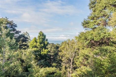 Photo of property in 19 Rauhuia Crescent, Parau, Auckland, 0604