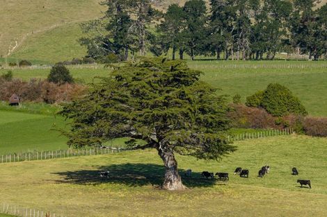 Photo of property in 383 Wallace Road, Koputaroa, 5571