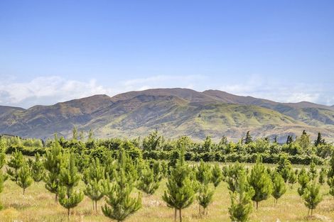 Photo of property in 42d Gladsmuir Road, Queensberry, Cromwell, 9383