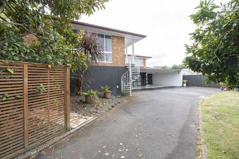 Photo of property in 14 Vista Terrace, Hillcrest, Hamilton, 3216