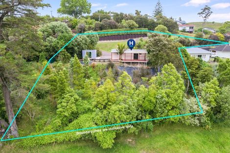 Photo of property in 28a Bennett Street, Paeroa, 3600