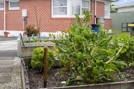 Photo of property in 634 Queen Street East, Levin, 5510