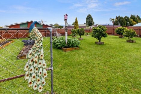 Photo of property in 11 Jocelyn Street, Katikati, 3129