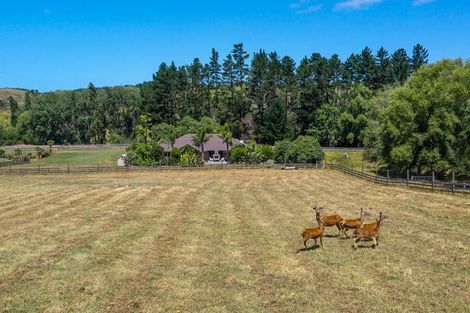 Photo of property in 8b Willow Lane, Stillwater, Silverdale, 0993