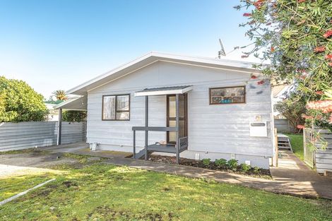 Photo of property in 56 Puriri Street, Gonville, Whanganui, 4501