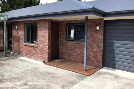 Photo of property in 128a Vogel Street, Roslyn, Palmerston North, 4414