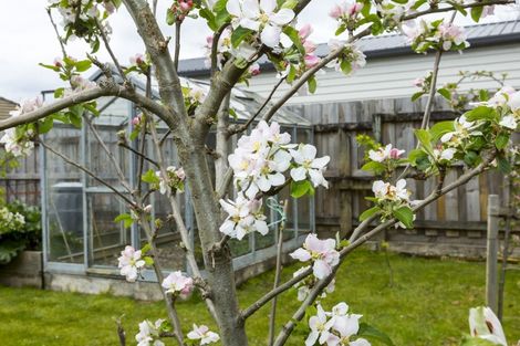 Photo of property in 18 Robertson Street, Elderslea, Upper Hutt, 5018