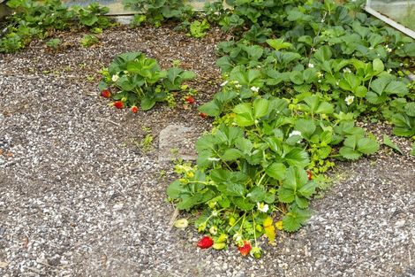 Photo of property in 18 Robertson Street, Elderslea, Upper Hutt, 5018