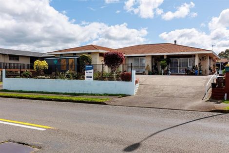 Photo of property in 117 Guy Street, Dannevirke, 4930