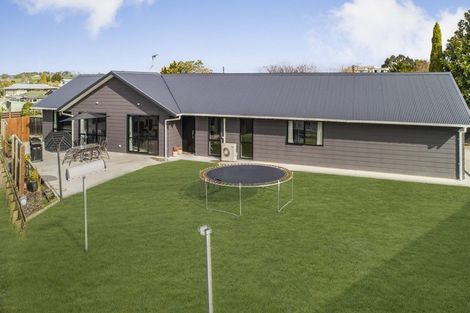 Photo of property in 15 Thornton Street, Putaruru, 3411