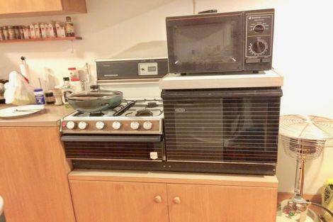 Photo of property in 1/29 Clifton Terrace, Kelburn, Wellington, 6012