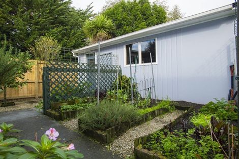 Photo of property in 38 Oak Street, Mangapapa, Gisborne, 4010