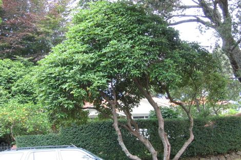Photo of property in 42 Allendale Road, Mount Albert, Auckland, 1025
