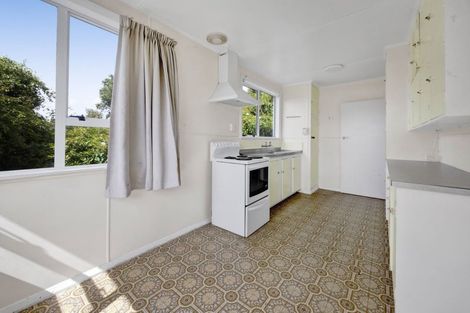 Photo of property in 97 Brecon Road, Stratford, 4332