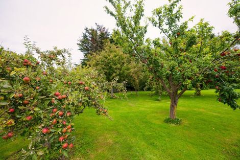 Photo of property in 25 Athelney Road, Kaikoura Flat, Kaikoura, 7371