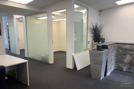 Photo of property in Albany Central, 16a/210 Dairy Flat Highway, Albany, Auckland, 0632