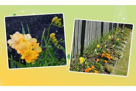 Photo of property in 49 Holyoake Crescent, Kawerau, 3127