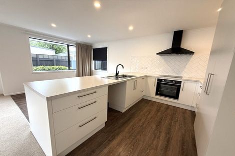 Photo of property in 2b Elzy Street, Blenheim, 7201