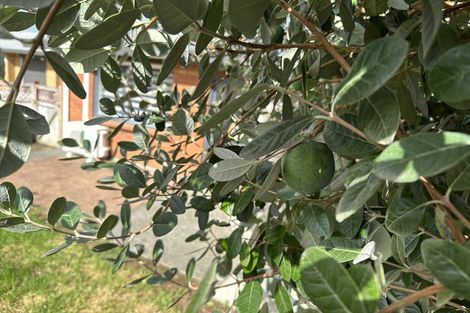 Photo of property in 4/7 Mona Avenue, Mangere Bridge, Auckland, 2022