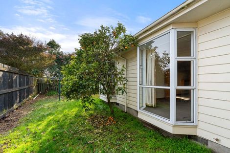 Photo of property in 174 Chapel Street, Masterton, 5810