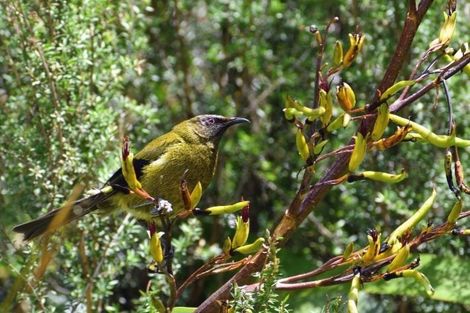 Photo of property in 177 Tapps Road, Canvastown, Havelock, 7178