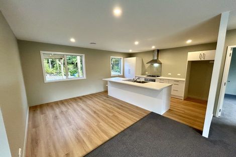 Photo of property in 6 Sadler Place, Kumara Junction, Hokitika, 7882