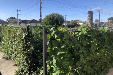 Photo of property in 41 Regent Street, Papatoetoe, Auckland, 2025