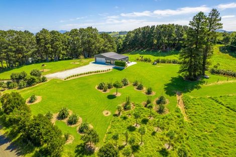 Photo of property in 373 Gumtown Road, Te Kamo, Kamo, 0185