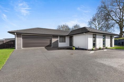 Photo of property in 41 Rawiri Street, Morrinsville, 3300