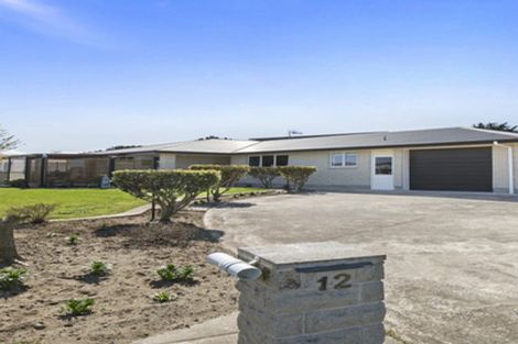Photo of property in 12 Malthus Place, Foxton Beach, Foxton, 4815