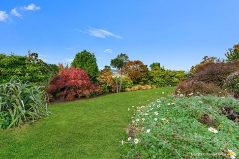 Photo of property in 20 Norton Street, Gore, 9710