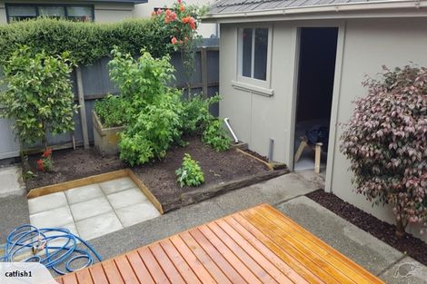 Photo of property in 8 Kinleys Lane, St Albans, Christchurch, 8014