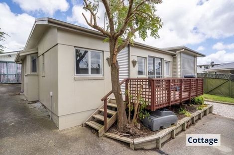 Photo of property in 19 Chivalry Road, Glenfield, Auckland, 0629