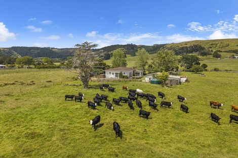 Photo of property in 1313 Whangaripo Valley Road, Whangaripo, Wellsford, 0972