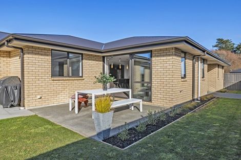 Photo of property in 55 Clausen Avenue, Leeston, 7632