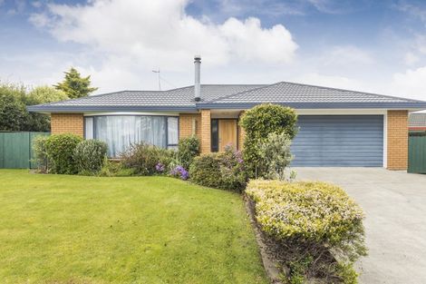 Photo of property in 81 Amberley Avenue, Highbury, Palmerston North, 4412