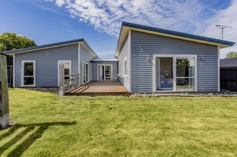 Photo of property in 29 Wineberry Avenue, Amberley, 7410