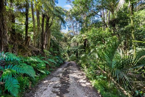 Photo of property in 105 Grassmere Road, Henderson Valley, Auckland, 0612