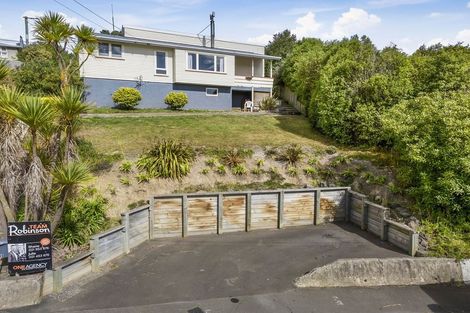 Photo of property in 113 Mulford Street, Concord, Dunedin, 9018