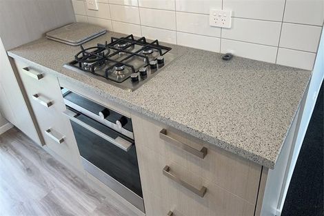 Photo of property in 111 Hinemoa Street, Levin, 5510