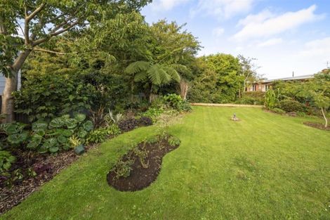 Photo of property in 46 Collins Street, Hawera, 4610