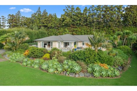 Photo of property in 73 Avocado Lane, Mangawhai, Wellsford, 0975