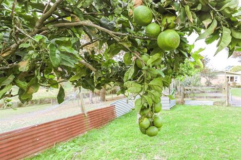 Photo of property in 583 Kopuku Road, Maramarua Forest, Te Kauwhata, 3781